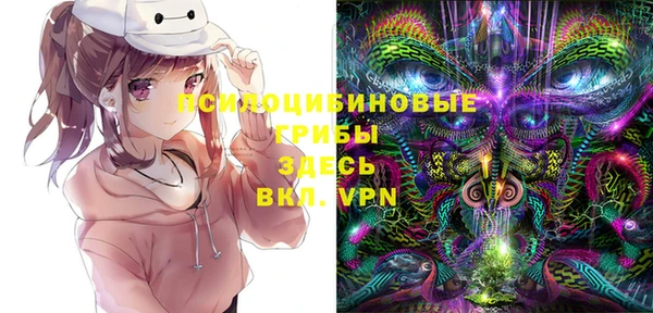 амф Карпинск