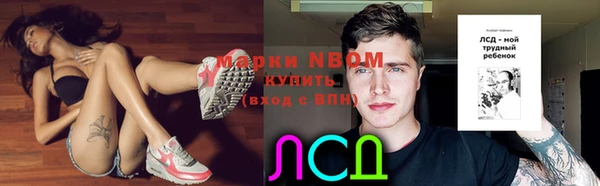 шишки Касимов