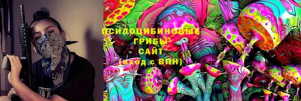 амф Карпинск