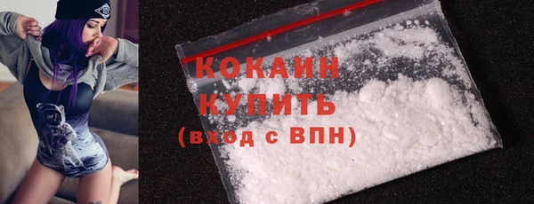шишки Касимов