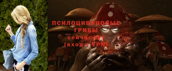 шишки Касимов
