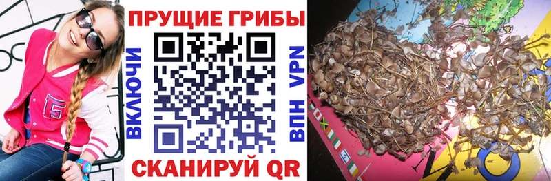 Псилоцибиновые грибы мухоморы Купить Дюртюли